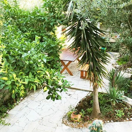 Apartment Antonio Orebić