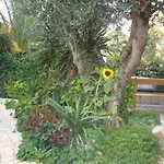 Apartment Antonio *