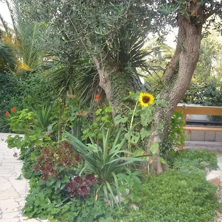 Apartment Antonio *