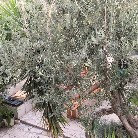Apartment Antonio
